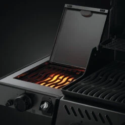 Napoleon Freestyle 365, 3 Hauptbrenner, Mit Sizzle Zone Seitenbrenner Und Tür, Graphit 11 Napoleon Freestyle 365, 3 Hauptbrenner, Mit Sizzle Zone Seitenbrenner Und Tür, Graphit -Santos Verkäufe 12d68a98554dcf0989a1f74aaef91d33