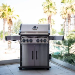 Napoleon Rogue SE 525, Edelstahl -Santos Verkäufe b3a321b4fa0b91a2d3b861158058b4c8