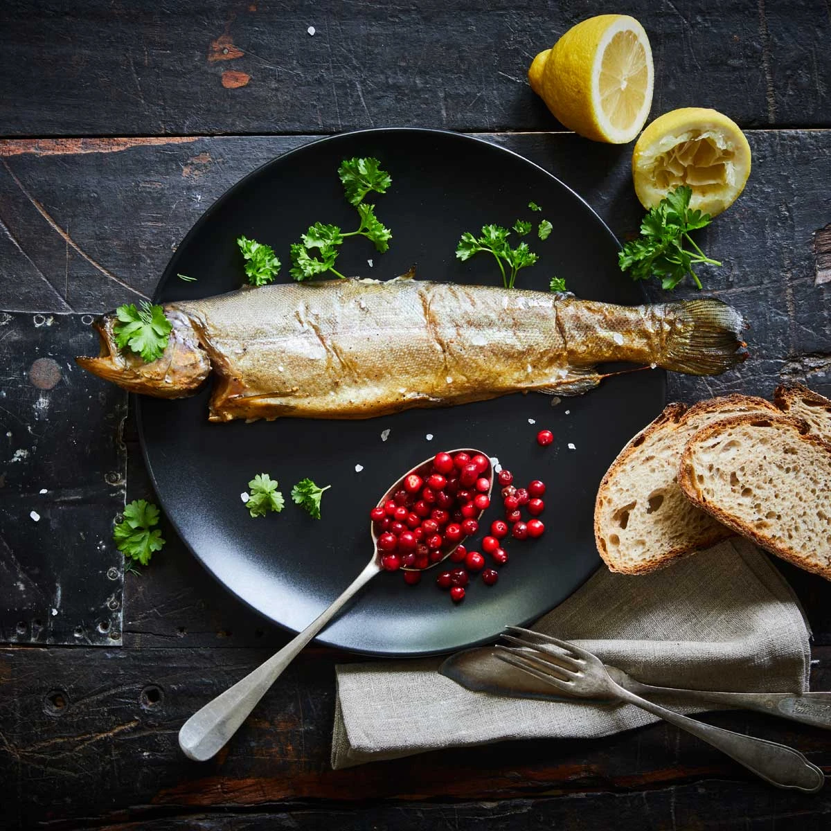 Borniak Räucherofen Timer UWDT-150 Version 1.4 2 Borniak Räucherofen Timer UWDT-150 Version 1.4 – Bild 2