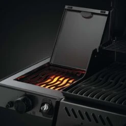 Napoleon Freestyle 425, 4 Hauptbrenner, Mit Sizzle Zone Seitenbrenner, Graphit 20 Napoleon Freestyle 425, 4 Hauptbrenner, Mit Sizzle Zone Seitenbrenner, Graphit -Santos Verkäufe napoleon freestyle 425 4 hauptbrenner mit sizzle zone seitenbrenner graphit 0459d8f04507b9eb96b736f88bab1a8d