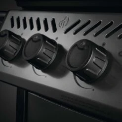 Napoleon Freestyle 425, 4 Hauptbrenner, Mit Sizzle Zone Seitenbrenner, Graphit 21 Napoleon Freestyle 425, 4 Hauptbrenner, Mit Sizzle Zone Seitenbrenner, Graphit -Santos Verkäufe napoleon freestyle 425 4 hauptbrenner mit sizzle zone seitenbrenner graphit 20c7cb3c006a738a4d7762835f80460a