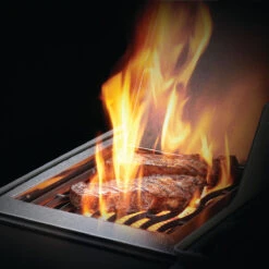 Napoleon Rogue XT 425, Schwarz 18 Napoleon Rogue XT 425, Schwarz -Santos Verkäufe napoleon rogue xt 425 schwarz sizzle zone 5ab2050bfa003976d4e7e3c1901bf177