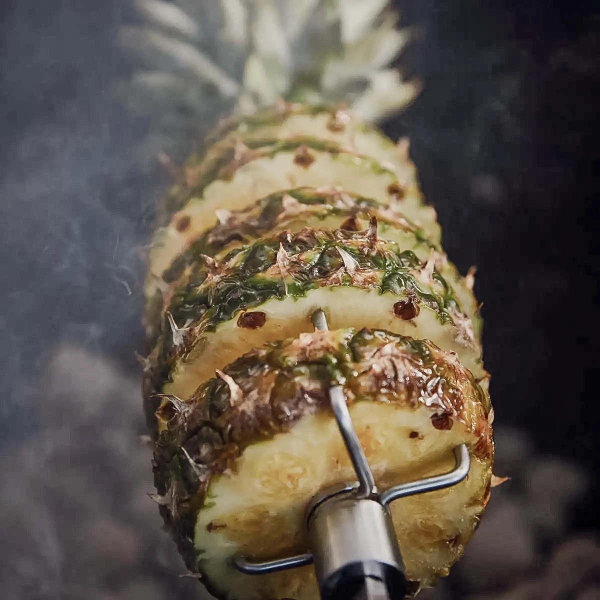 SANTOS Drehspieß Für Weber Genesis I 300er Bis Modelljahr 2016 2 SANTOS Drehspieß Für Weber Genesis I 300er Bis Modelljahr 2016 – Bild 2