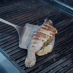 SANTOS Fischwender, Edelstahl 8 SANTOS Fischwender, Edelstahl -Santos Verkäufe santos fischwender ab9eca8b33ff483acefe70c58e16dfd2