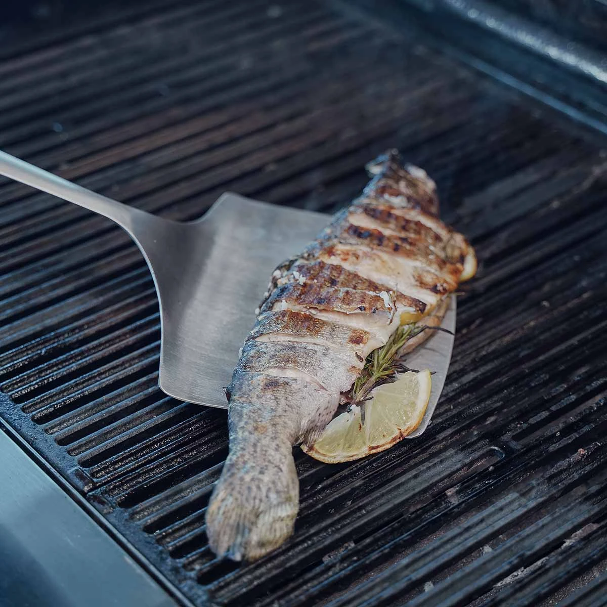 SANTOS Fischwender, Edelstahl 4 SANTOS Fischwender, Edelstahl – Bild 4