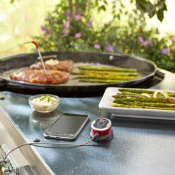 Weber IGrill Mini Thermometer & Timer, 1 Fühler